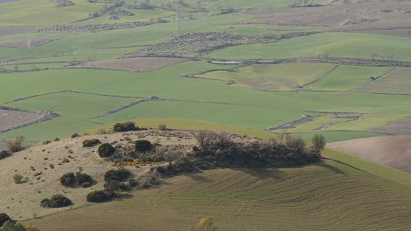 Spanish Green Hills, Andalusia