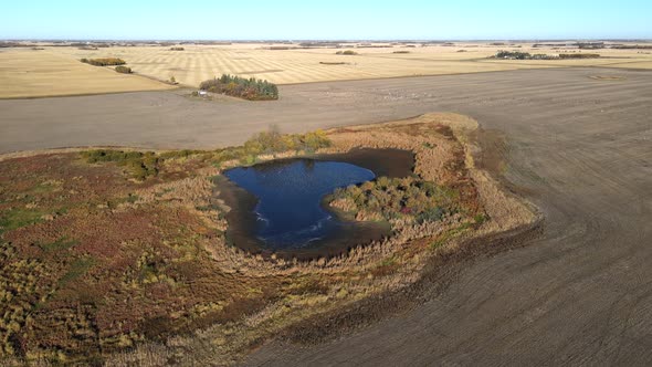 Aerial 4k footage flying over small deep blue pond in north American countryside. Migratory snow gee