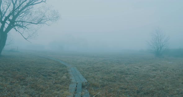 Walking On Foggy Path