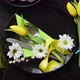 Easter Spring Table Dishware Composition with Yellow Tulip Flower - VideoHive Item for Sale