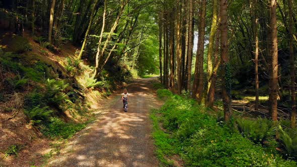 Woman walking in the forest on a sunny day 4k