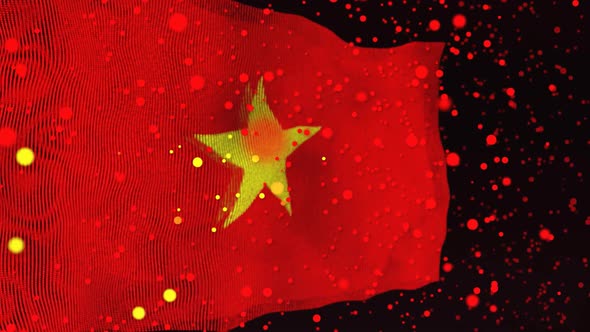 Vietnamese  Flag Particle Animation