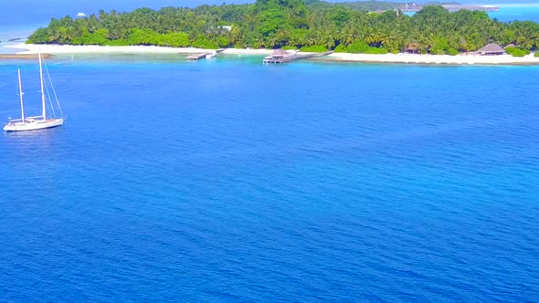 Aerial drone nature of coast beach wildlife by blue ocean with sand background