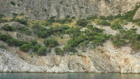 Sailing near the shore and look at the stones and forests that were on it