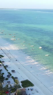 Vertical Video of the Beach on Zanzibar Island Tanzania