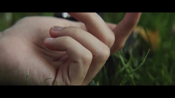 Hand playing with grass