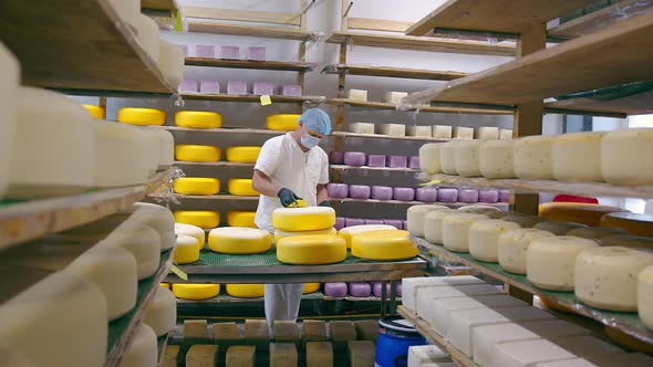 Cheese Production. The Worker Covers the Cheese with Wax. Cheese Factory