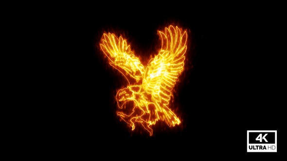 Burning Eagle Isolated On Black Background V2