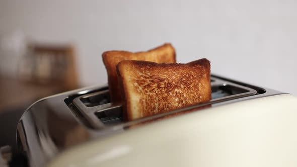 Roasted bread in white toaster. two delicious and toaster toasts. the process of frying toasts.