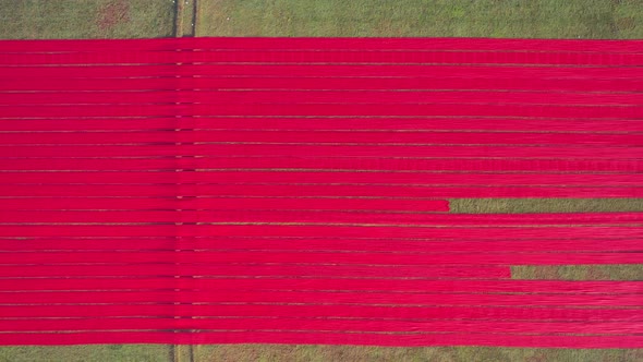 Aerial view of red cotton rolls drying on a field, Dhaka, Bangladesh.