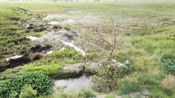 Open fire near the dry tree at paddy field. 