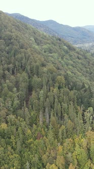 Carpathian Mountains