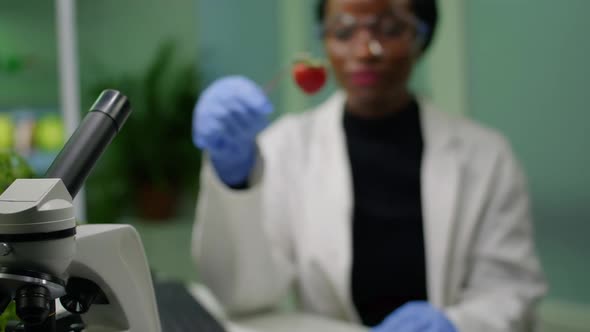 African Biologist Holding Strawberry Injected with Dna Liquid with Medical Tweezers