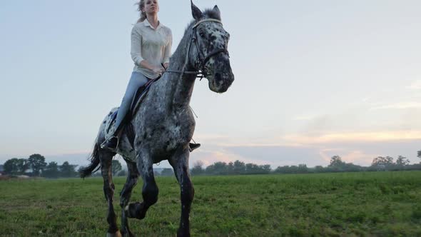 Super Slow Motion of Young Girl Riding on a Horse on the Meadow During Sunset