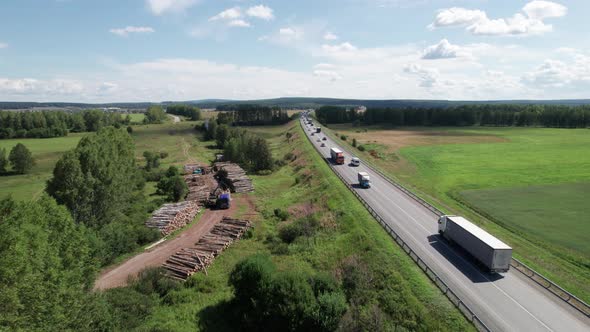 The Deforestation of Siberia Economic and Environmental Problems in Russian Forest Management