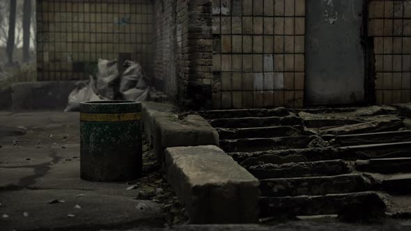 Old Abandoned Garages in the Forest