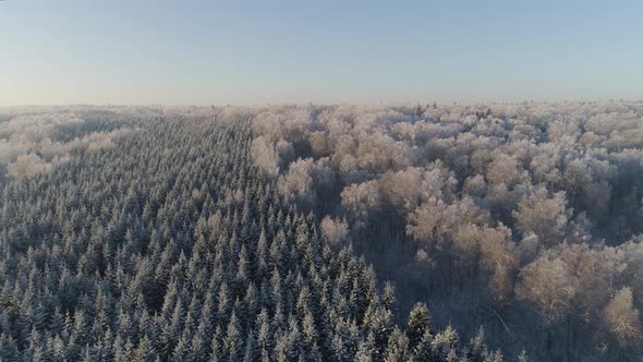 Winter Landscape Countryside