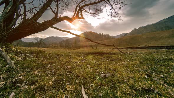 Time Lapse of Death Tree and Dry Yellow Grass at Mountian Landscape with Clouds and Sun Rays