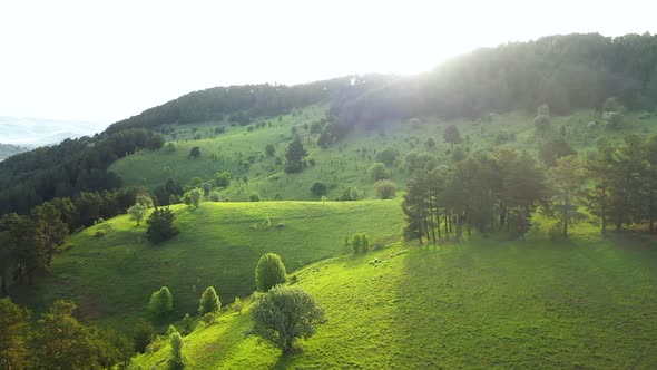 Aerial View Of Sunrise And Nature