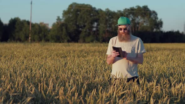 Farmer Looks at His Fields of Wheat and Using His Digital Tablet