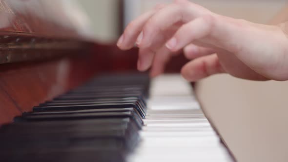 Musician Plays Chords on the Piano with Hands