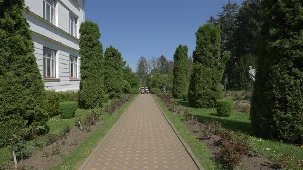 Alley by the building of the Botanical Garden, Cluj-Napoca