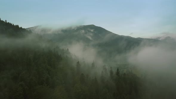 Mystic and Foggy Drone Flight Over the Rainforest in Mountain. Middle Shot