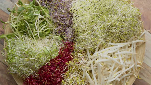 Vegetarian Concept Food. A Set of Different Sprouted Seeds for Healthy Eating on a Wooden Plate