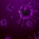 Bacteria Cells Biology - VideoHive Item for Sale