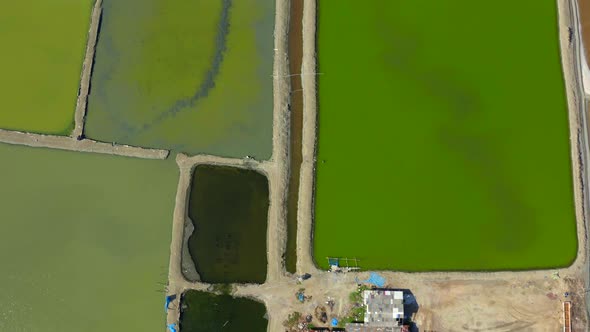 Phetchaburi Salt Flats Naklua Farms and Farmers Collecting Salt in Phetchaburi Thailand