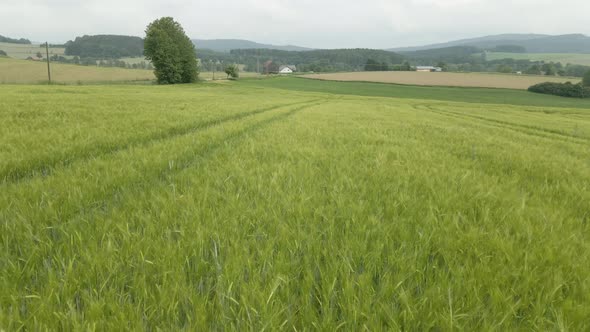 Rural Agricultural Landscape For Farming, Fields end Forest - Aerial Drone Footage