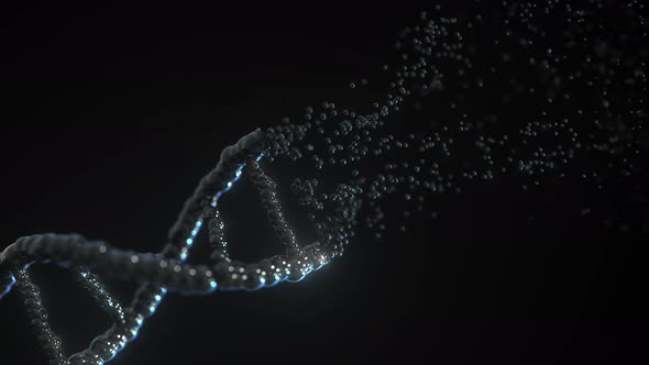 Composing DNA Molecule Model