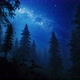 night sky falling stars in a forest 4K - VideoHive Item for Sale