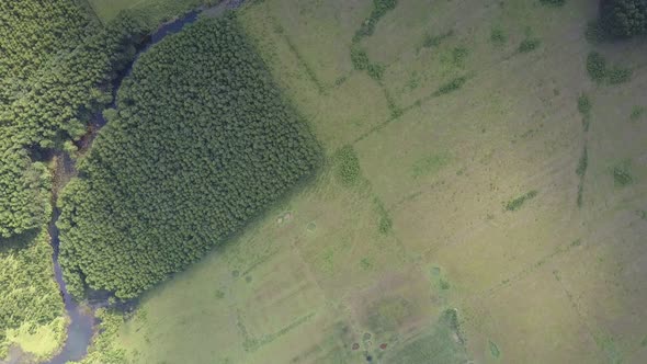 Camera Rises Above Pictorial Farmland with Forest and River