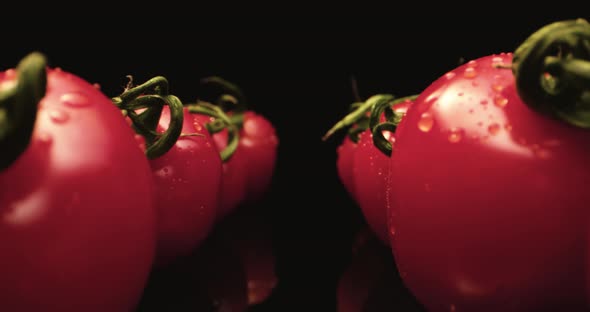 Red Tomatoes Water Drops 