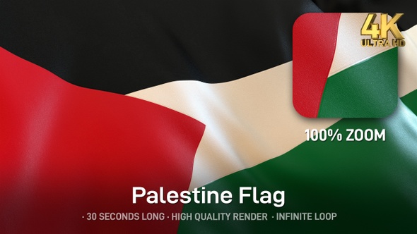 Palestine Flag - 4K