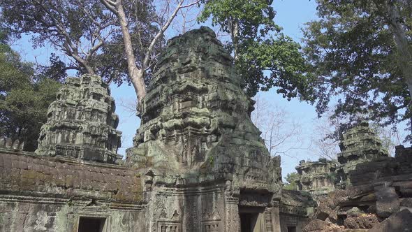 Ta Prohm Temple in Angkor Wat, Cambodia