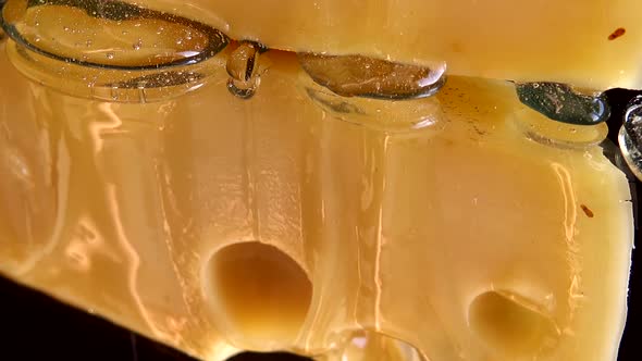 Drops of honey flow down from the cheese on a mirrored black background.
