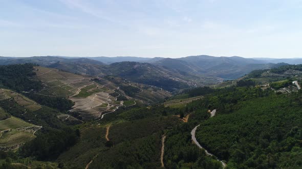 Wavy Hills of Vineyards in Douro Valley Peso Da Regua Vila Real Portugal