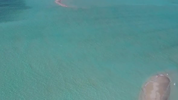 Drone aerial tourism of lagoon beach wildlife by blue sea and sand background