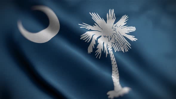 South Carolina State Flag Angle
