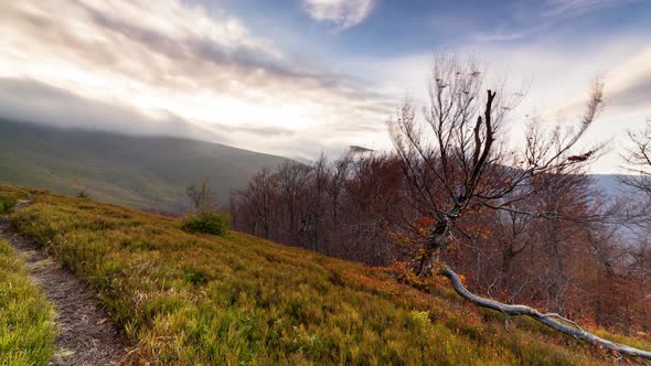 Carpathians Pylypets Ukraine