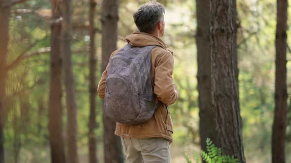 Traveler Casual Style Man Walking in Woods with Backpack, Single Hiking in Autumn Forest