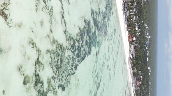 Vertical Video of Low Tide in the Ocean Near the Coast of Zanzibar Tanzania Aerial View