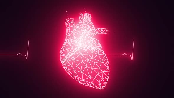 Human Heart Beating Animation