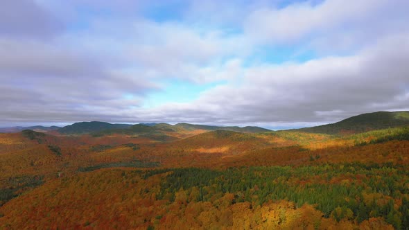 Aerial footage orbiting over a evergreen ridge in a golden autumn forrest