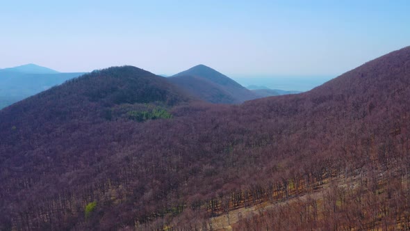 country of Slovakia. Drone shot of a mountain autumn forest