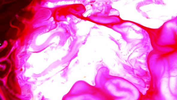 Absctract Spirit Color Paint  alt