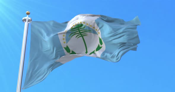 Neuquen Province Flag, Argentina