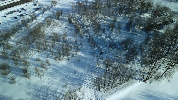 Flight in the city park. Winter landscape. Aerial photography.